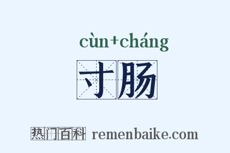 寸肠是什么意思的图片